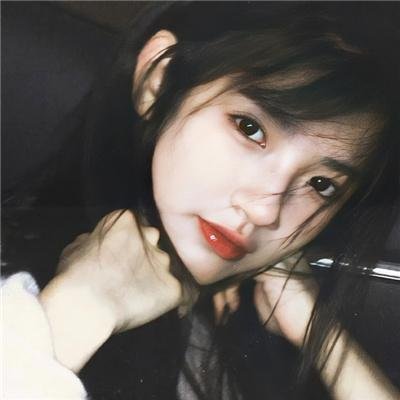 野兽家族第五季